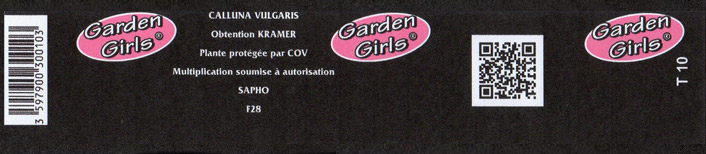 Gencode-garden-girl-103