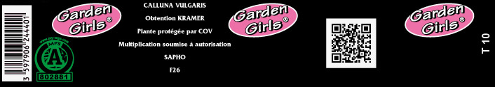 Gencode-pot-de-10-garden-girls